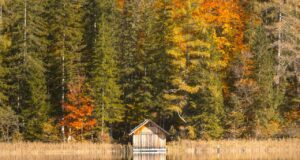 Südost Steiermark kulinarisch durchkosten Herbstlicher Wald mit einer Holzhütte an einem See in der Südost Steiermark