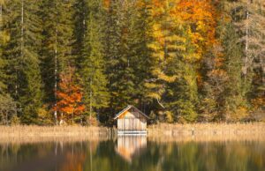 Südost Steiermark kulinarisch durchkosten Herbstlicher Wald mit einer Holzhütte an einem See in der Südost Steiermark