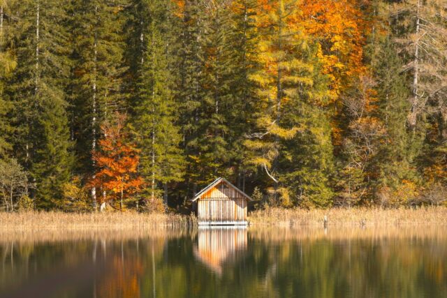 Südost Steiermark Herbstlicher Wald mit einer Holzhütte an einem See in der Südost Steiermark