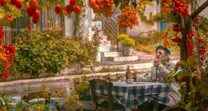 Über das Unglück, ein Grieche zu sein! Ist es Glück oder Unglück, ein Griechen zu sein? Ein Grieche legt seine Landsleute auf die Psycho-Couch(Foto: Pixabay)