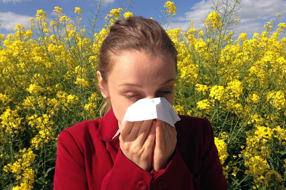 Allergie-Gesundheit-Medizin-Hotelsuche Eine neue Webseite hilft Allgergikern bei der Suche nach für sie geeignete Hotels und Ferienwohnungen (Foto: Pixabay, Cenczi)