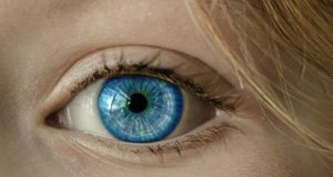 Webseite plant Reise mit Gesichtsanalyse Iris eines Auges: Mit allen Sinnen auf Reise gehen