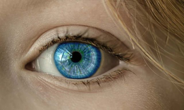 Iris eines Auges: Mit allen Sinnen auf Reise gehen