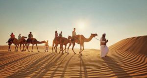 Wird Abu Dhabi zum neuen Reise-Mekka? Abu Dhabi: Wüstenausritt auf dem Kamel