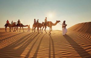 Wird Abu Dhabi zum neuen Reise-Mekka? Abu Dhabi: Wüstenausritt auf dem Kamel