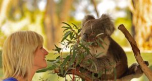 Victoria enthüllt Geheimtipps für Reisebüros Visit Victoria startet Roadshow. Bild zeigt Frau mit Koala-Bär
