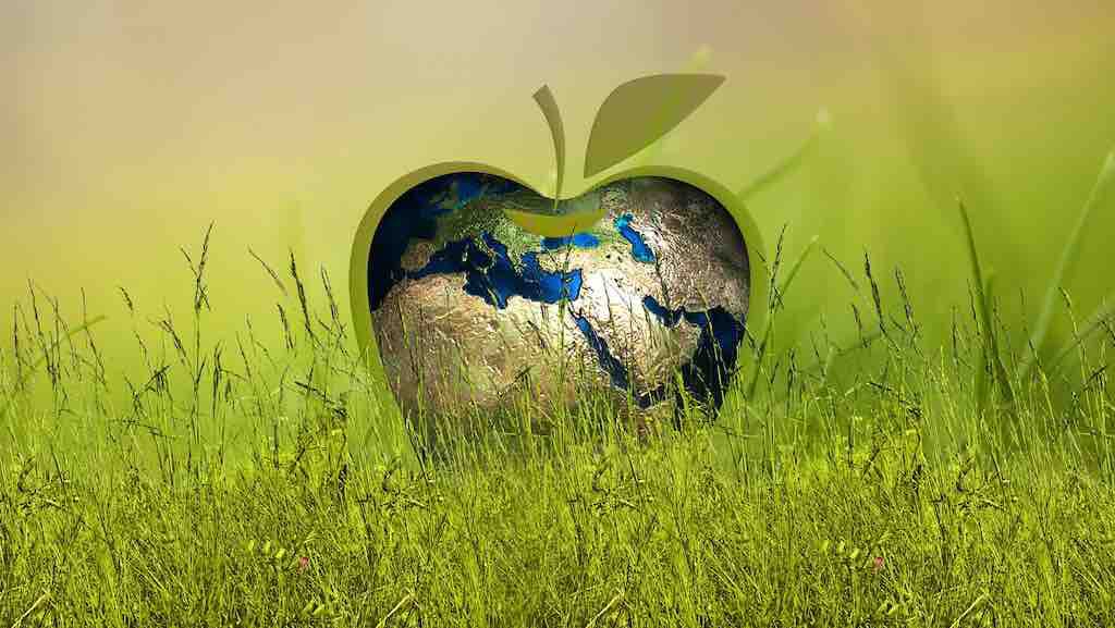 USA: Ein Apfel mit Weltkarte liegt in einer Wiese und symbolisiert Nachhaltigkeit Für mehr Nachhaltigkeit in der Hotelbranche setzt sich die Reisebranche ein (Foto: Geralt, Pixabay)