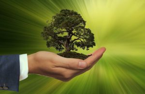 Travel Manager sollen nachhaltiger handeln Travel Manager müssen in Zukunft viel mehr auf die Nachhaltigkeit bei Geschäftsreisen achten (Foto: Gerd Altmann, Pixabay)