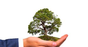 CO2-Ausstoß von Businessreisen reduzieren Travel Manager können mit einem Dashboard von Egencia den CO2-Fußabdruck von Geschäftsreisen visualisieren und so auch reduzieren (Foto: Gerd Altmann, Pixabay)