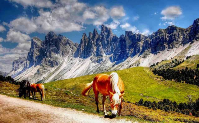 Jetzt ist auch die beliebte Urlaubsregion Südtirol zum Coronavirus-Risikogebiet erklärt worden (Foto: Kordula Vahle,Pixabay)