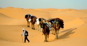 Tunesien sucht Ausweg aus Tourismuskrise Das Coronavirus hat den Tourismus in Tunesien schwer getroffen (Foto: H. Bieser, Pixabay)