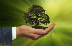 Tipps für nachhaltiges Travel Management Tipps für nachhaltiges Travel Management