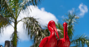 Kunst unter Palmen in St. Pete/Clearwater Kunst unter Palmen am St. Pete Pier