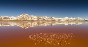 Der Planet Erde und seine letzten Paradiese In der Laguna Colorada in Bolivien zeigt sich der Planet Erde von seiner bewahrten Natürlichkeit (Foto: Michael Martin)