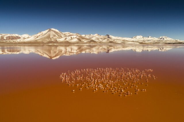 In der Laguna Colorada in Bolivien zeigt sich der Planet Erde von seiner bewahrten Natürlichkeit (Foto: Michael Martin)
