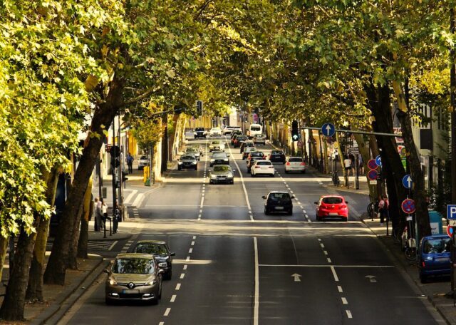 Welche Mitführpflichten haben Autofahrer in Europa? Das Bild zeigt eine Straße mit vielen Autos. Straße umsäumt von Bäumen