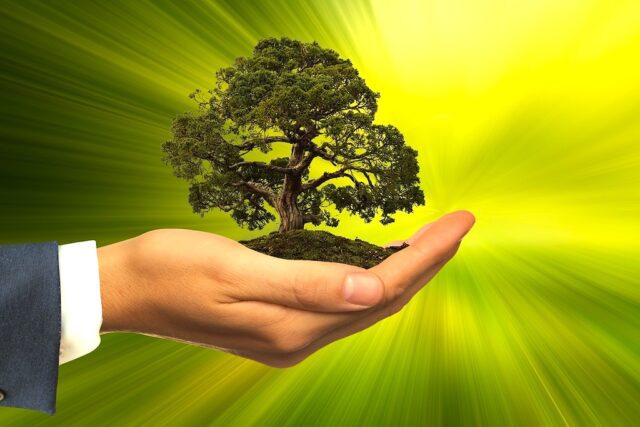 Nachhaltige Geschäftsreisen: Bild zeigt eine Männerhand mit einem Baum auf seiner offenen Hand, im Hintergrund leichten die Farben Gelb und Grün