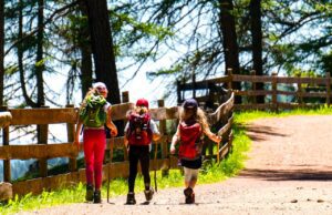 Kräuterwandern macht Urlauber glücklich Kräuterwandern ist eine Vergnügen für Erwachsene und Kinder: Zu sehen sind eine erwachsene Peron mit zwei Kindern auf eine Wanderweg in den Bergen