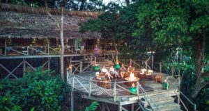 Regenwald-Safari im Herzen Afrikas Ngaga Lodge im Odzala Nationalpark. Safari-Teilnehmer sitzen nachmittags auf einer Holzterrasse ruhen sich aus und blicken in den sie umgebenden Regenwald