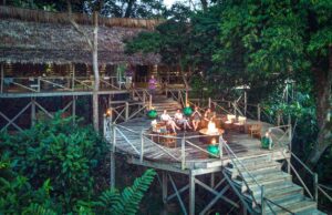 Regenwald-Safari im Herzen Afrikas Ngaga Lodge im Odzala Nationalpark. Safari-Teilnehmer sitzen nachmittags auf einer Holzterrasse ruhen sich aus und blicken in den sie umgebenden Regenwald