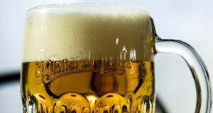 Bier her, aber bitte nur ein Pilsner Urquell! Ein voller Bierkrug mit aufgedrucktem Emblem Pilsner Urquell und viel Schaum