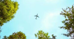 Ökologische Nachhaltigkeit in der Luftfahrt Flugzeug überfliegt eine Baumgruppe am Boden