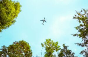 Ökologische Nachhaltigkeit in der Luftfahrt Flugzeug überfliegt eine Baumgruppe am Boden