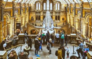 Hauser und Studiosus jetzt im Doppelpack Hauser und Studiosus sind jetzt unter einem Dach. Touristen besichtigen in einem Museum ein Skelett von einem Dinosaurier