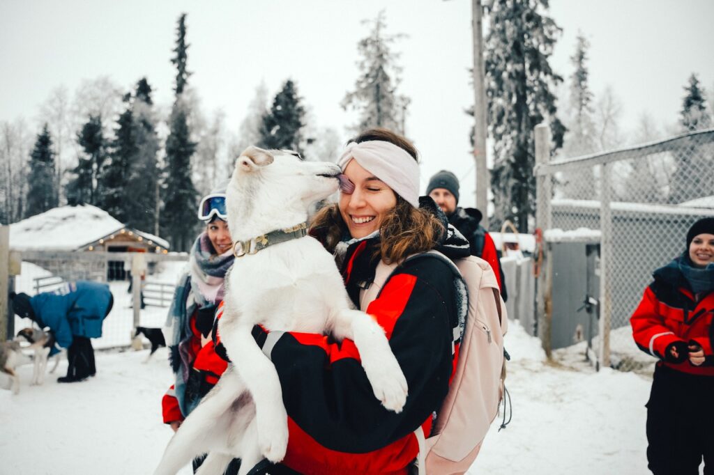 Abenteuer in Lappland: Eine Frau mit einem weißen Husky in den Händen, der sie ableckt
