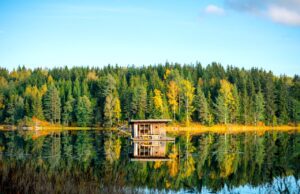 Schweden will Namen Schweden schützen Schweden, eine Land der Seen und In sein. Ein riesiger See, umgeben von einem dichten Wald und am Ufer des Sees eine Hütte
