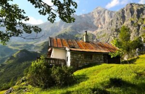 Alpine Destinationen und deren Potenzial Alpine Region mit Bergen und einem Haus auf einem grünen Hügel und einem Strauch vor