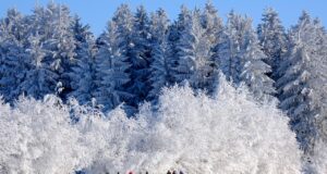 Wanderglück statt Winterschlaf in Franken Grenzenloses Wanderglück in einer tief verschneiten Winterlandschaft macht Spaß