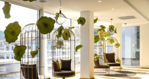 Ein Stadthotel, das aus der Reihe tanzt Vogelkäfigsessel vor großen Fenstern mit Blick auf gegenüberliegende Fassade mit hängenden grünen Blättern