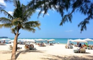 In Phuket den Winter in Europa vergessen! Weißer Sandstrand mit Bäumen, Liegestühlen, Sonnenschirme und türkisfarbenem Meer am Horizont