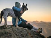 Urlaub mit Hund: Beste Reiseziele in Europa! Urlaub mit Hund: Eine Person umarmt einen schwarzweiß geströmten Hund