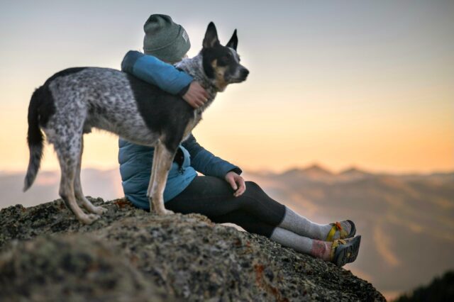 pexels-bekka419-1452717 Urlaub mit Hund: Eine Person umarmt einen schwarzweiß geströmten Hund