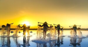 Asien als neue Chance für die Reisebranche Viele Personen mit Kopfbedeckung wann durch ein bewässertes Reisefeld