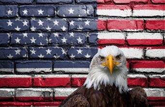 USA-Einreise: Wann haben Sie was gepostet? USA-Einreise: Grafische Darstellung der USA-Fahne auf einer Ziegelwand mit em Kopf eines Weißkopfadlers