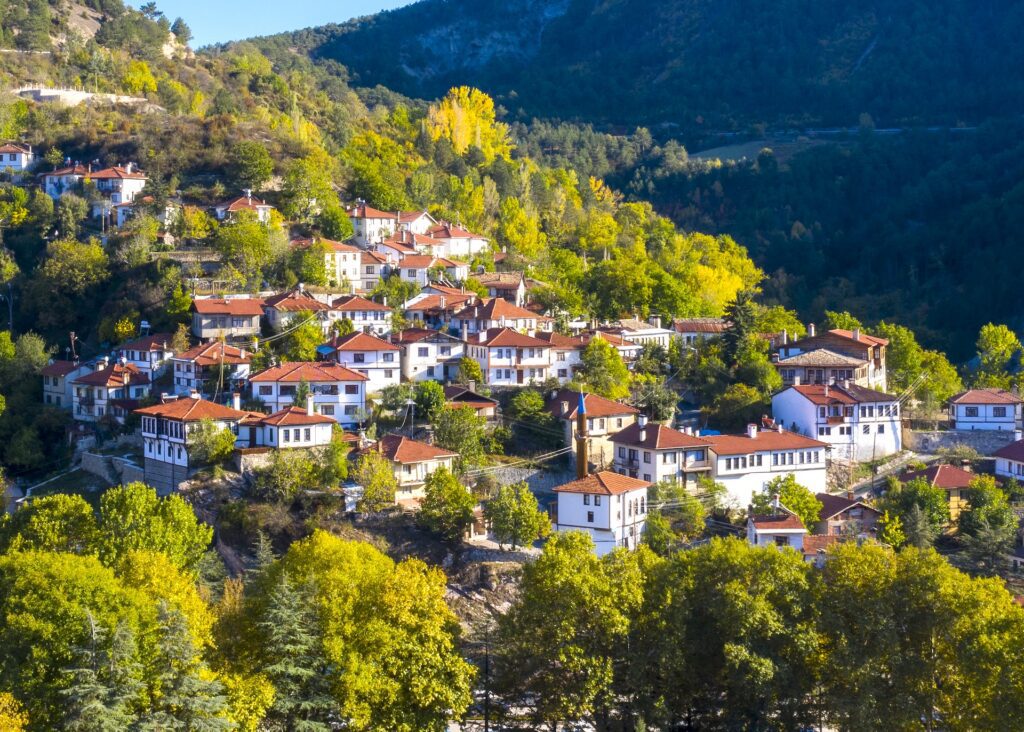 ein Bergdorf in der Türkei, viele Häuser mit roten Dächern