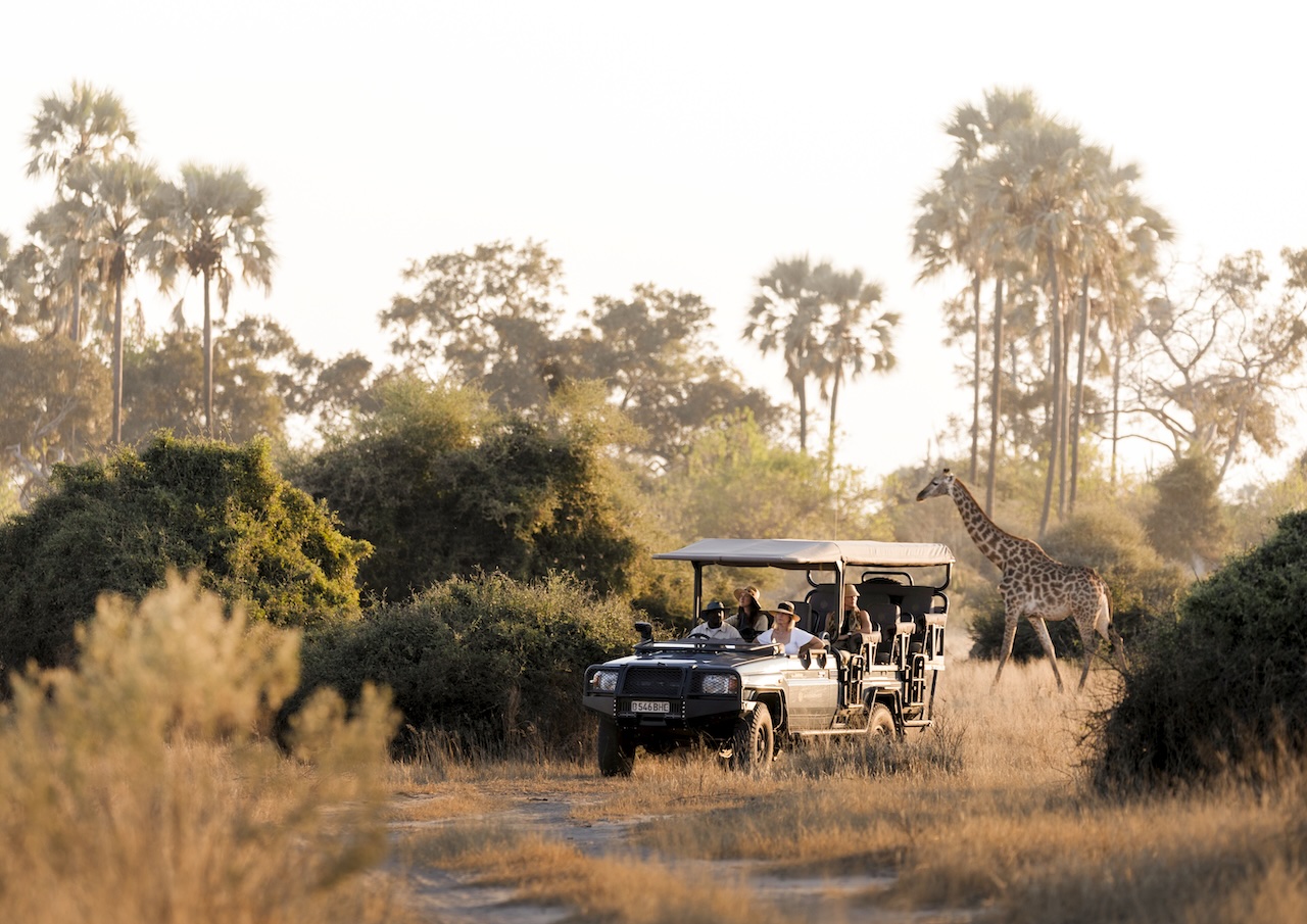 DERTOUR Deluxe baut Afrika-Portfolio aus - TRAVELbusiness