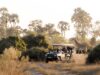 DERTOUR Deluxe baut Afrika-Portfolio aus Dertour Deluxe baut mit Luxusreisen in Afrika sein Portfolio aus. Safari in Afrika: Jeep mit Touristen und im Hintergrund eine Giraffe