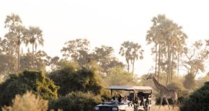 DERTOUR Deluxe baut Afrika-Portfolio aus Dertour Deluxe baut mit Luxusreisen in Afrika sein Portfolio aus. Safari in Afrika: Jeep mit Touristen und im Hintergrund eine Giraffe