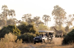 DERTOUR Deluxe baut Afrika-Portfolio aus Dertour Deluxe baut mit Luxusreisen in Afrika sein Portfolio aus. Safari in Afrika: Jeep mit Touristen und im Hintergrund eine Giraffe