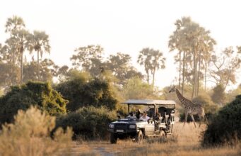 DERTOUR Deluxe baut Afrika-Portfolio aus Dertour Deluxe baut mit Luxusreisen in Afrika sein Portfolio aus. Safari in Afrika: Jeep mit Touristen und im Hintergrund eine Giraffe