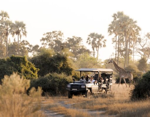 DERTOUR Deluxe baut Afrika-Portfolio aus Dertour Deluxe baut mit Luxusreisen in Afrika sein Portfolio aus. Safari in Afrika: Jeep mit Touristen und im Hintergrund eine Giraffe