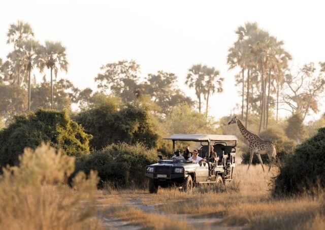 Dertour Delux baut Afrika Portfolio aus Dertour Deluxe baut mit Luxusreisen in Afrika sein Portfolio aus. Safari in Afrika: Jeep mit Touristen und im Hintergrund eine Giraffe