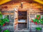 Almhütten: So werden Bettwanzen gestoppt! Almhütten und die Bettwanzen: Eine alpine Hütte mit geöffneter Tür und Blick auf ein ein weiß getünchtes Bett