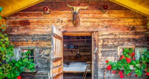 Almhütten: So werden Bettwanzen gestoppt! Almhütten und die Bettwanzen: Eine alpine Hütte mit geöffneter Tür und Blick auf ein ein weiß getünchtes Bett