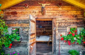 Almhütten: So werden Bettwanzen gestoppt! Almhütten und die Bettwanzen: Eine alpine Hütte mit geöffneter Tür und Blick auf ein ein weiß getünchtes Bett