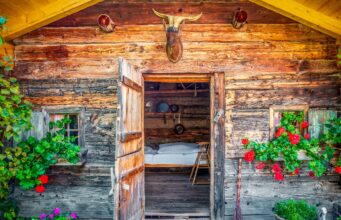 Almhütten: So werden Bettwanzen gestoppt! Almhütten und die Bettwanzen: Eine alpine Hütte mit geöffneter Tür und Blick auf ein ein weiß getünchtes Bett